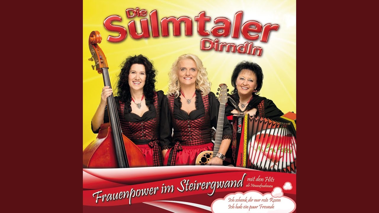 Ich hab ein paar Freunde (Neuaufnahme - Radio Version)