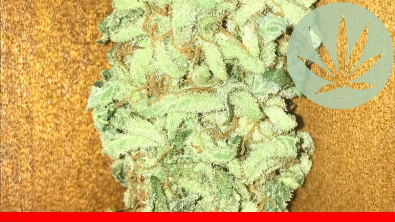 Strawberry Ice - All About This Strain