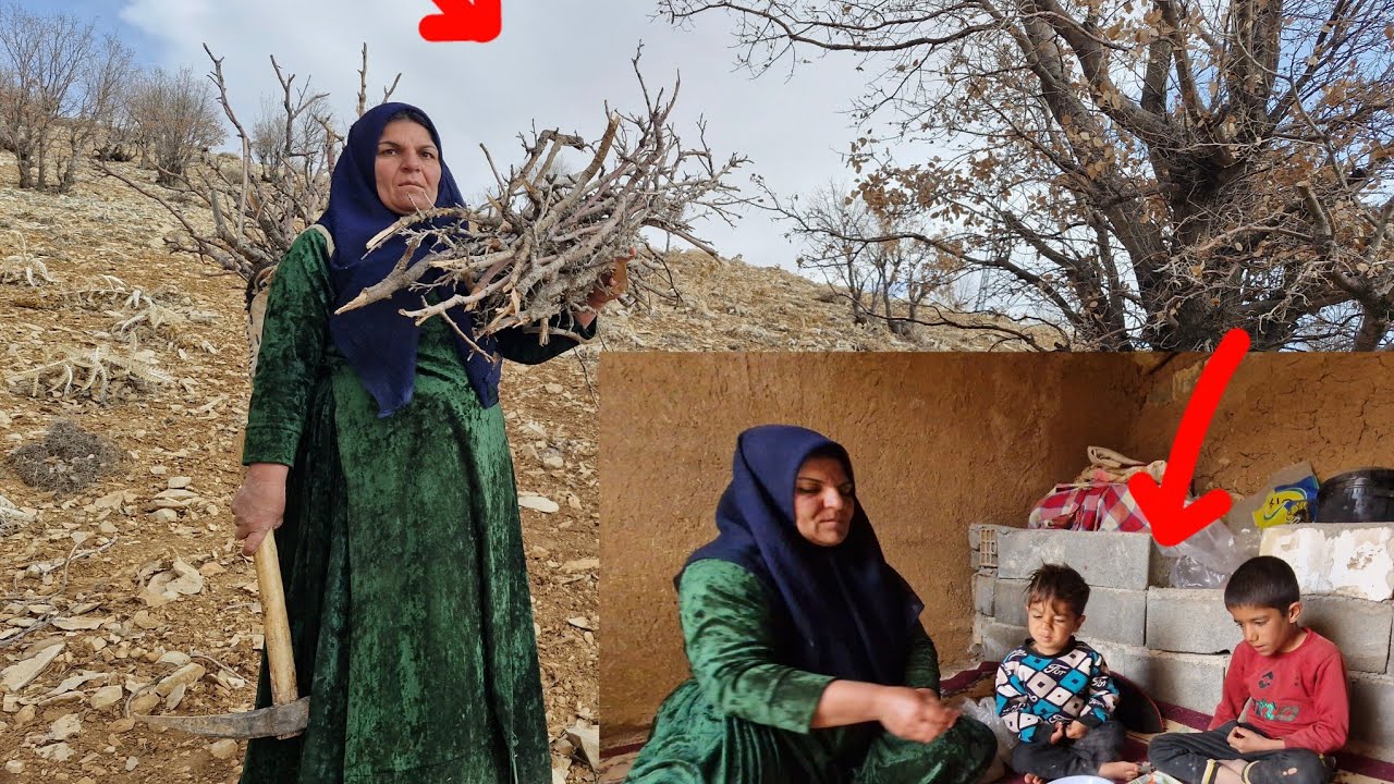 Widow's mother: Nomad widows go to the mountains to collect firewood and cook delicious food