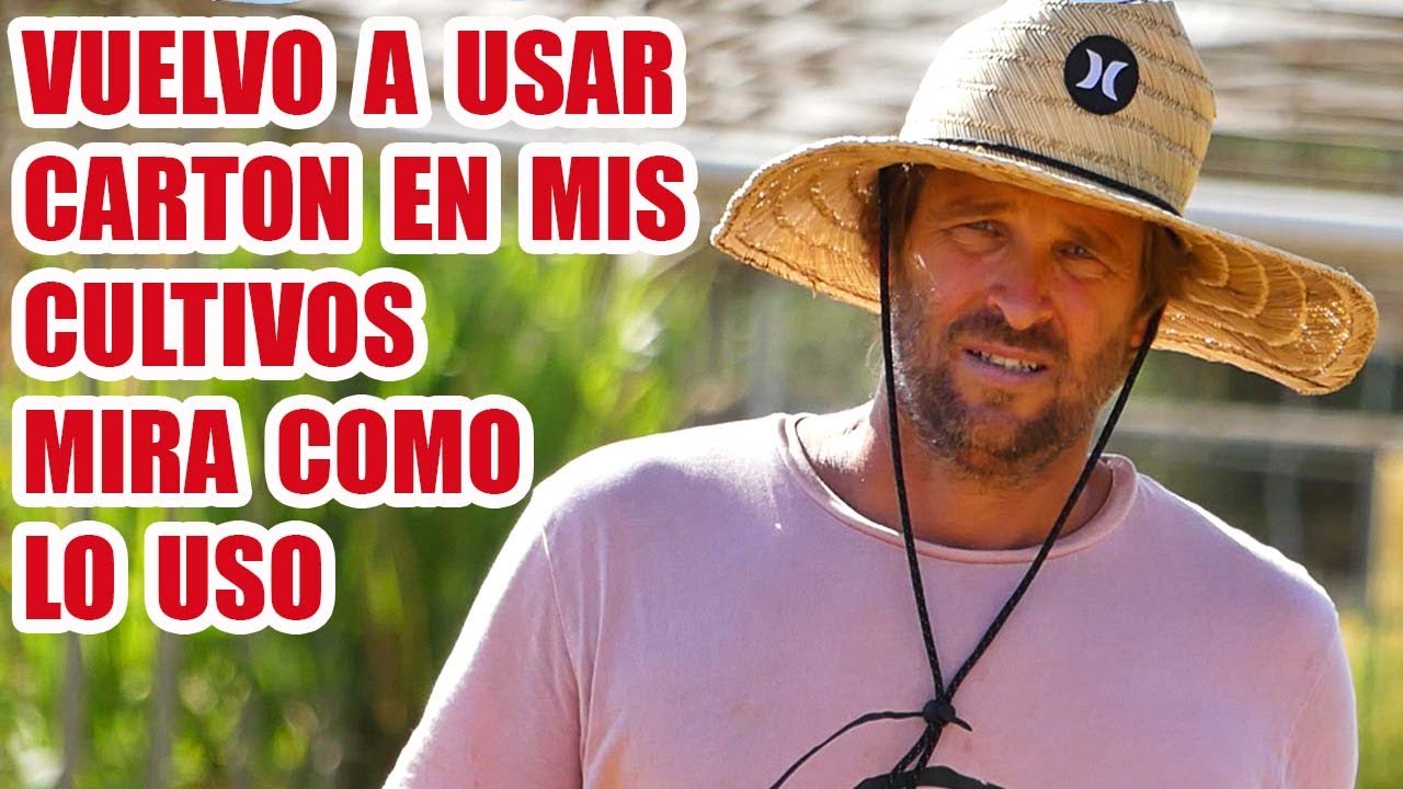 COMO ACOLCHAR CON CARTON , TODO EL PROCESO PASO A PASO