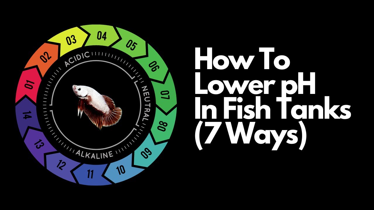 How to Lower pH Levels in Aquariums (EASY METHOD)