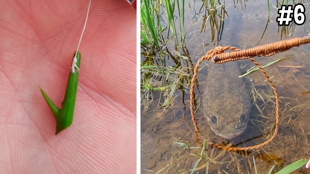 Testando as 7 melhores ideias de PESCA