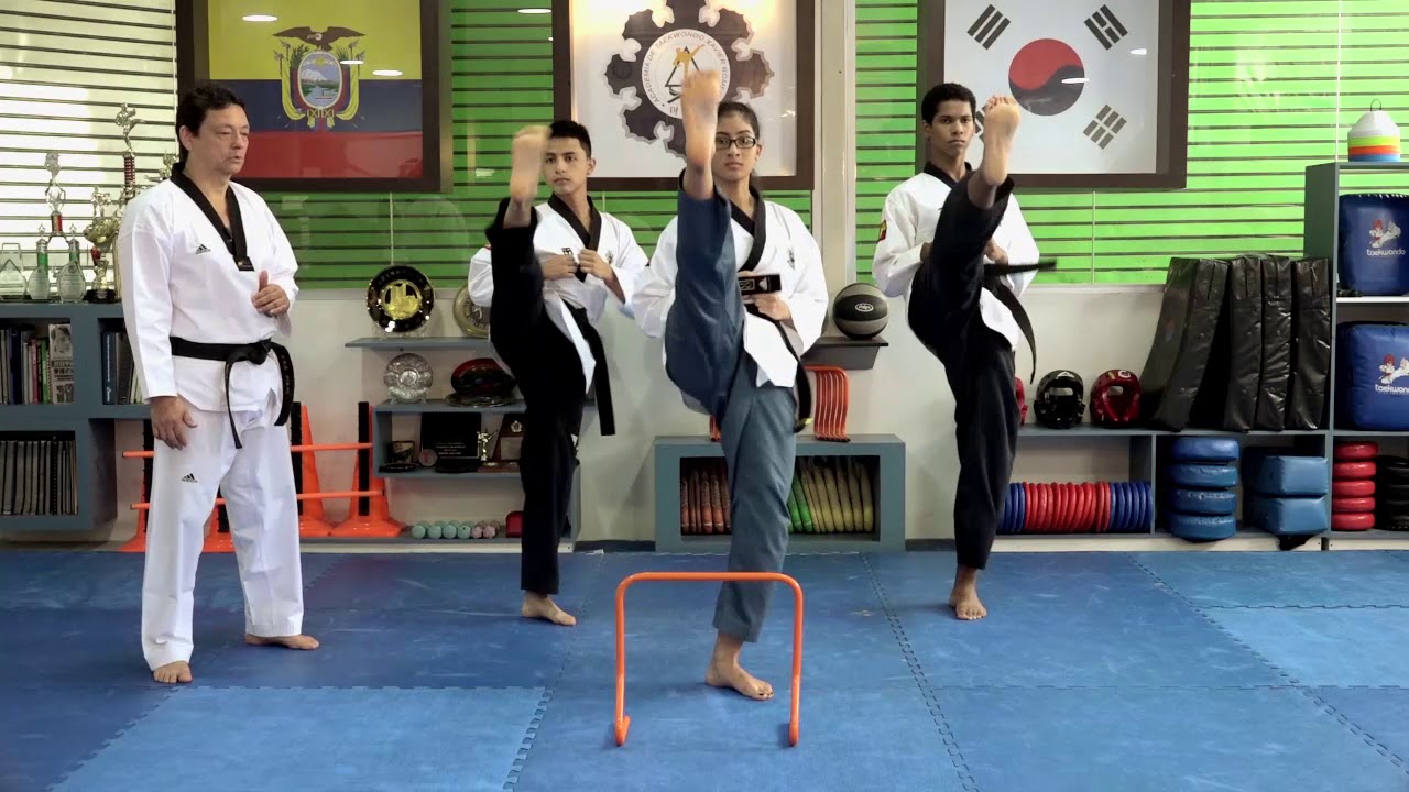 Taekwondo MOVIMIENTO APCHAGUI