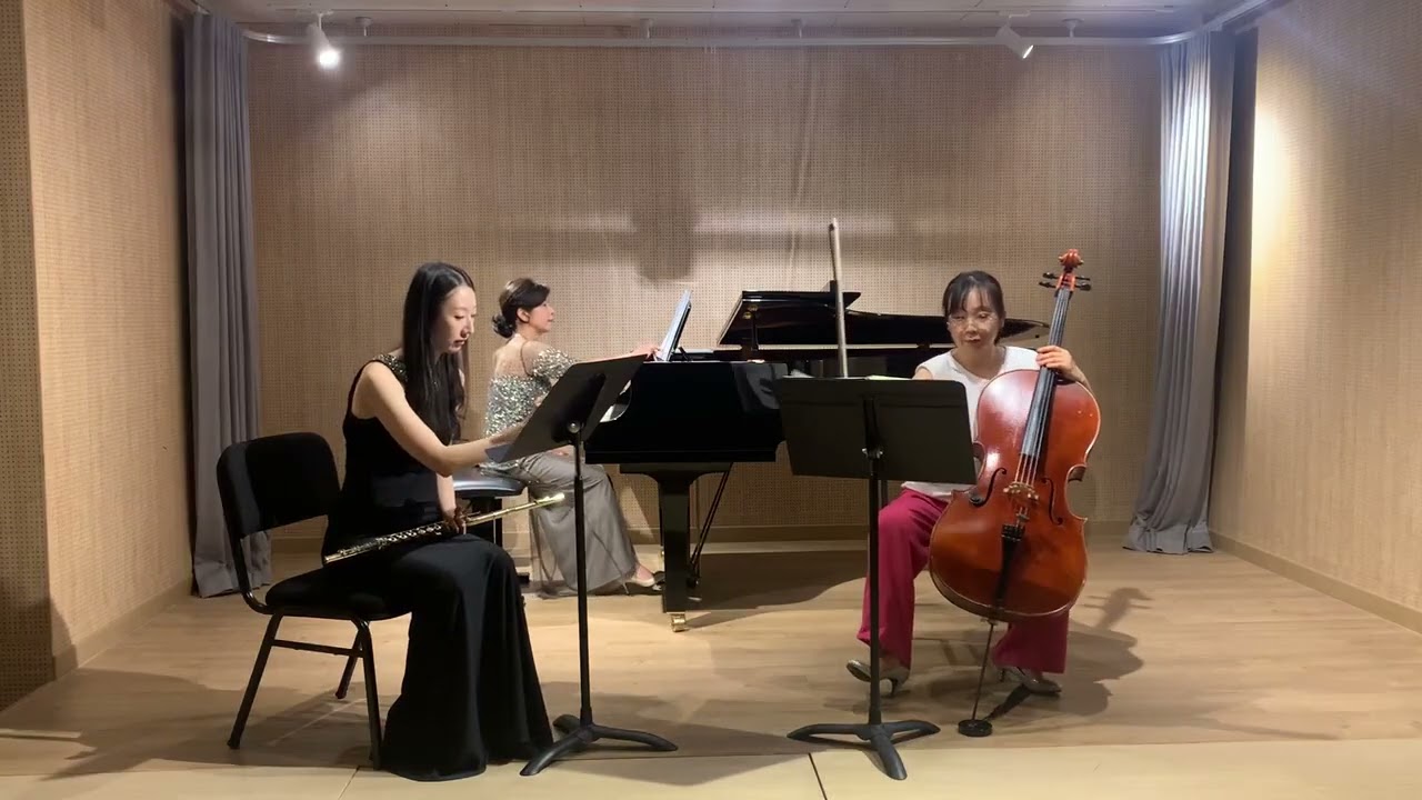 Astor Piazzolla - The Four Seasons of Buenos Aires 'Winter' & 'Spring' - 아페리 트리오