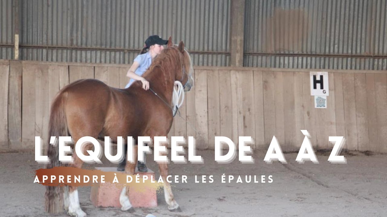 Equifeel: Déplacement des épaules