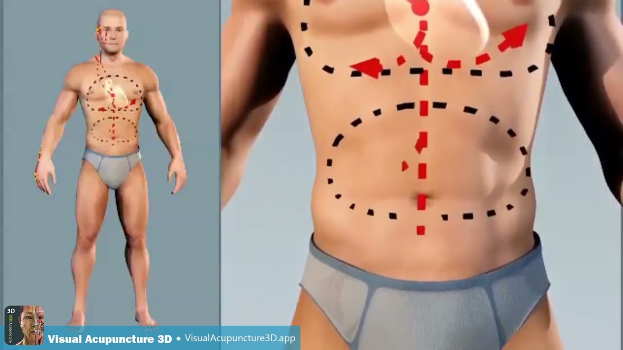 The Triple Heater Meridian - acupuncture