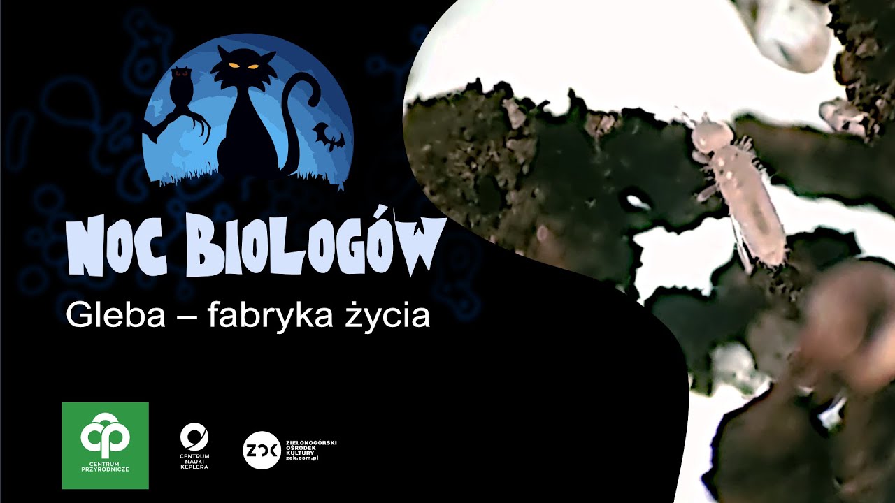 Gleba fabryka życia