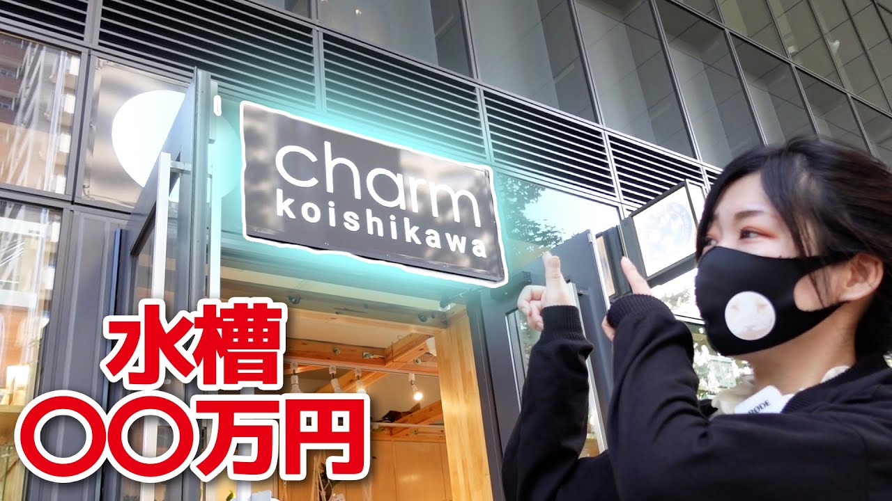 charm｜6万点のペット用品を取り扱う都内のペットショップをご紹介！
