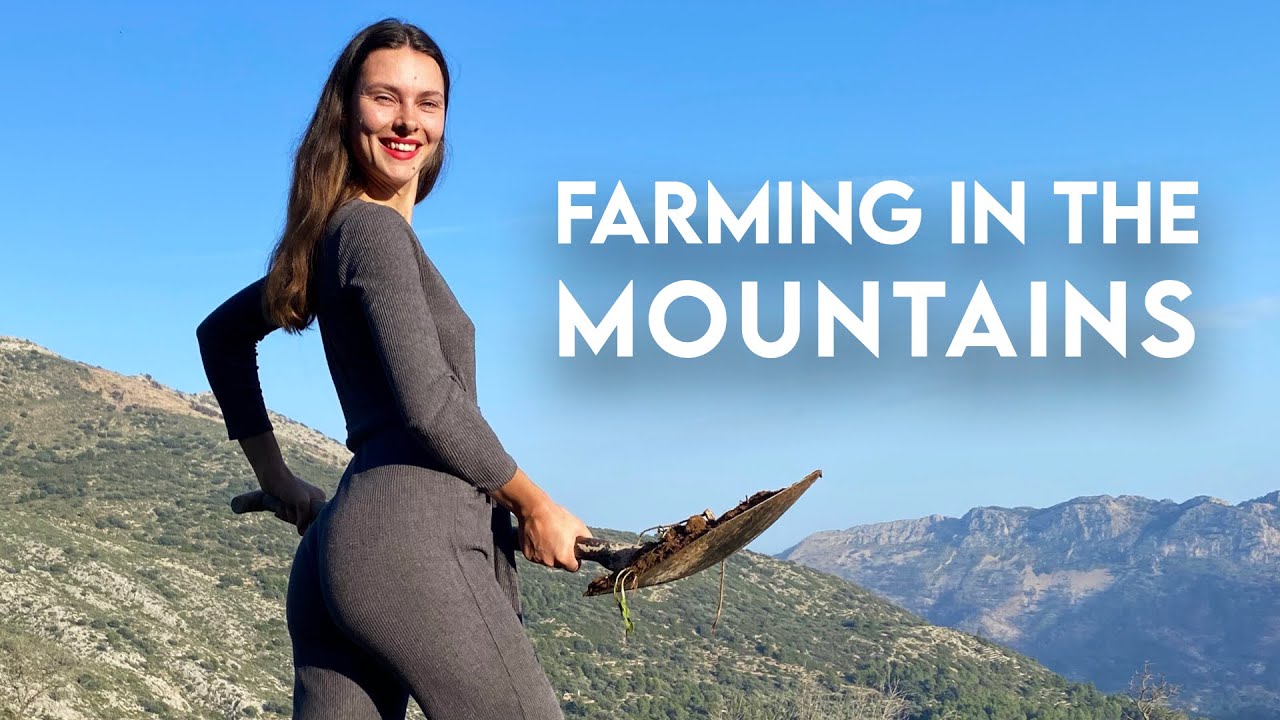 Creating an OFF-GRID Paradise | MEDITERRANEAN Farm