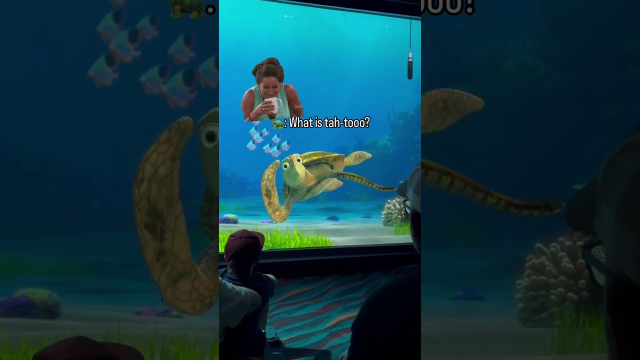 Turtle Talk with Crush | Crush is wondering, what is a Tah-too