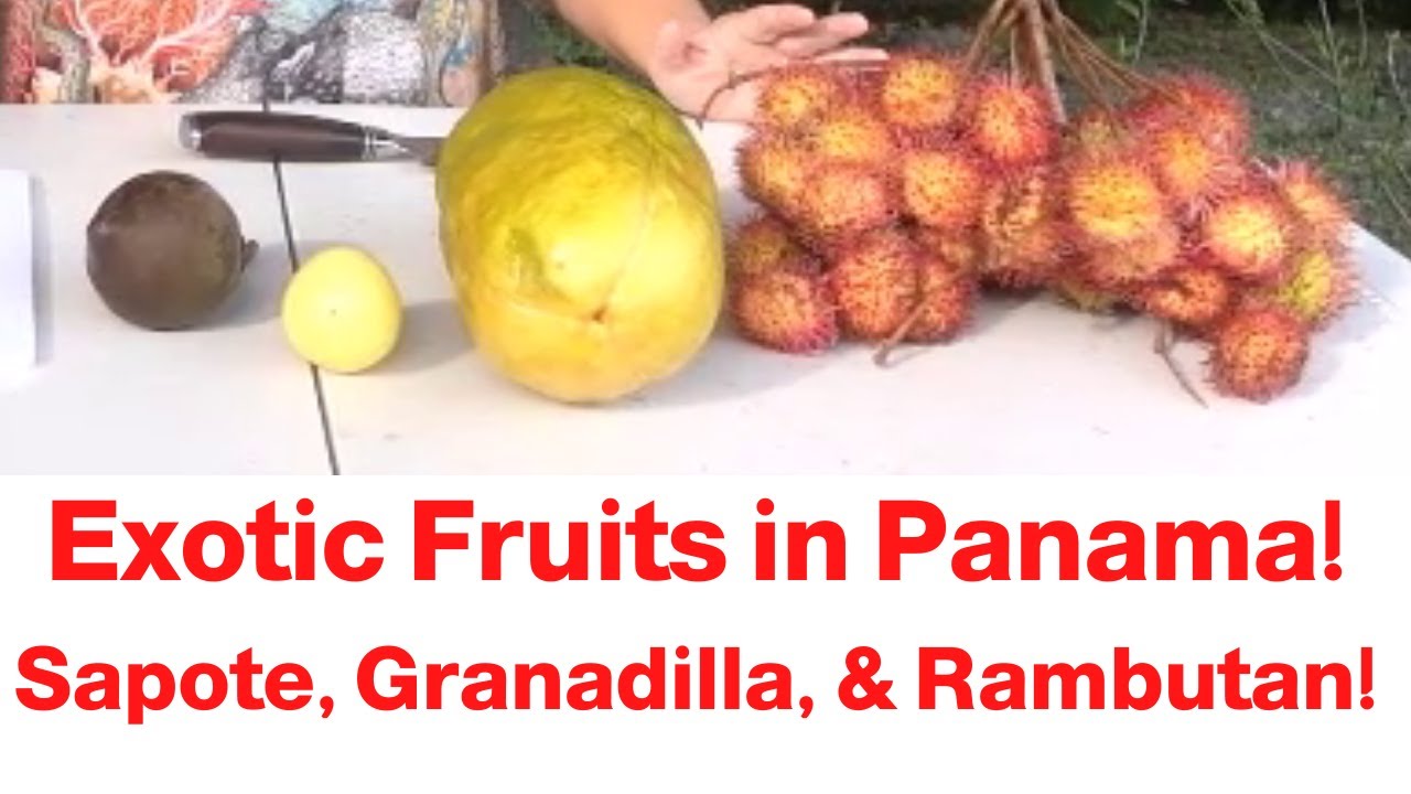 Пробуем экзотические фрукты в Панаме!