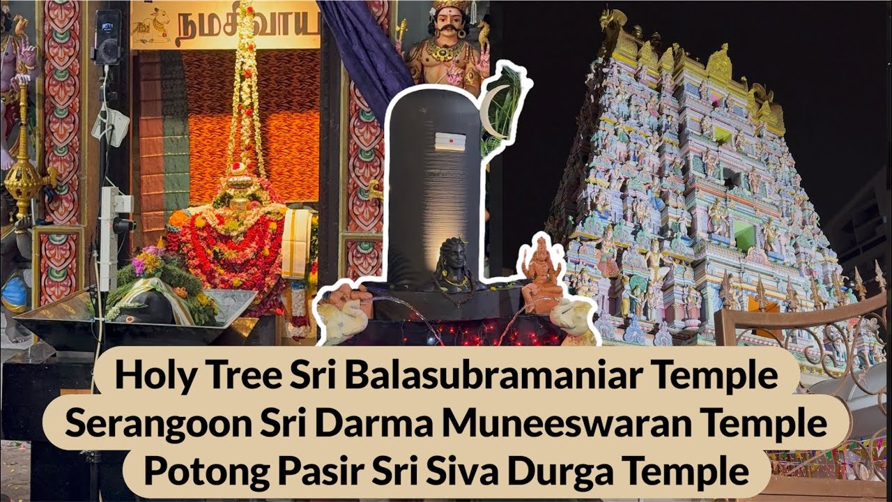 Maha Sivarathri 2026 | 3 Powerful Temples in One Night | Singapore Temple Hopping 🇸🇬 