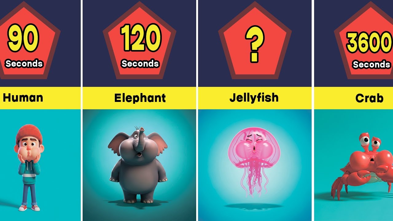 How Many Seconds Different Creatures Can Hold Their Breath