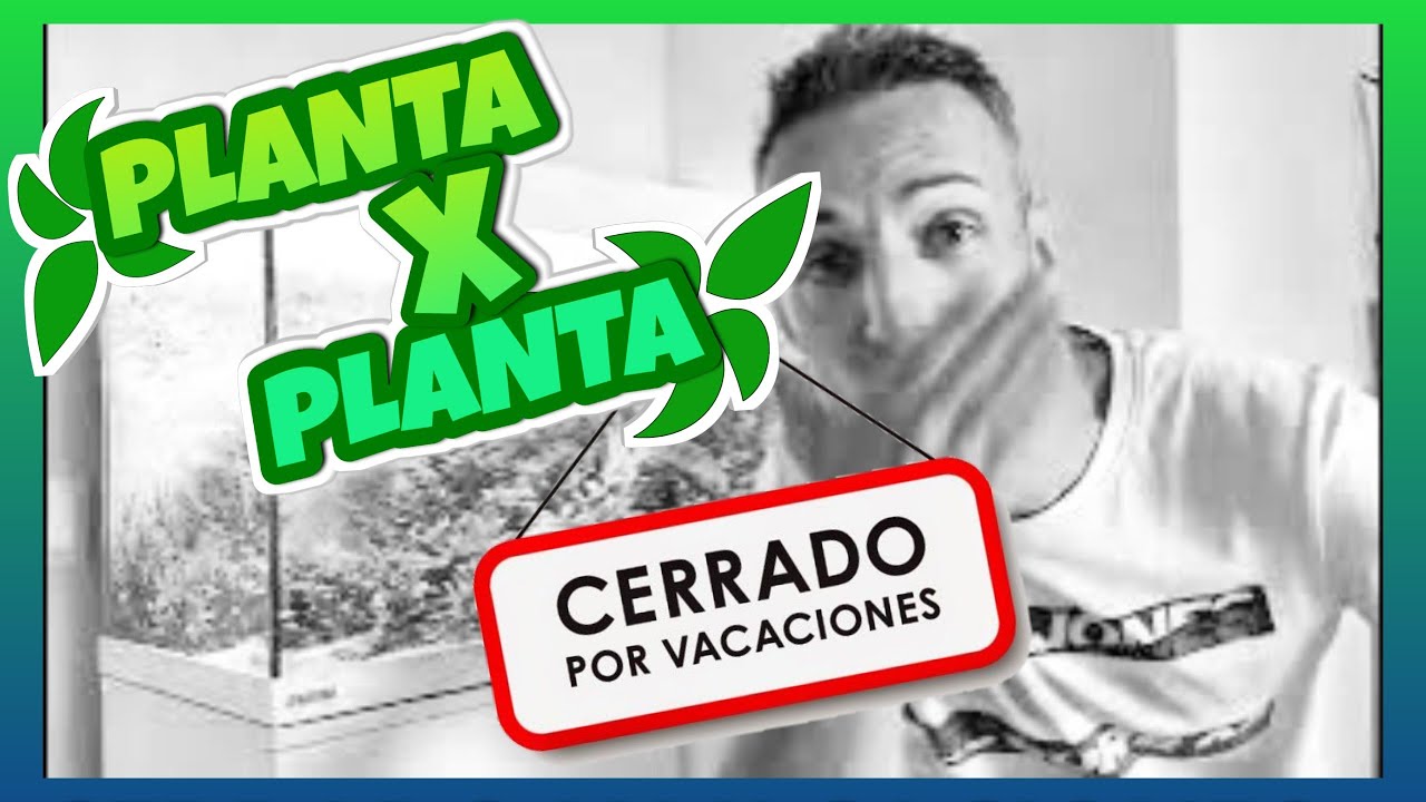 🟢 PREVACACIONES 2023 -=l[ MiTu HD ]l=-