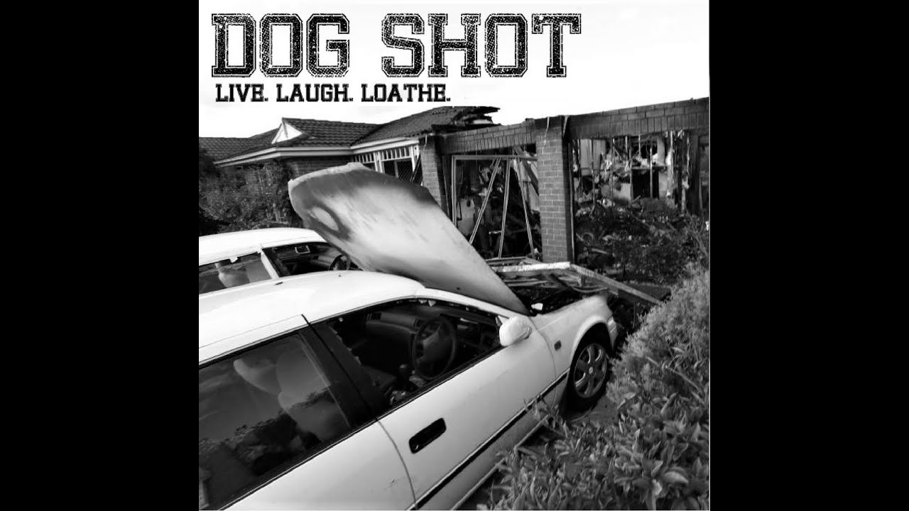 Dog Shot // Numbskull - Split (2022)