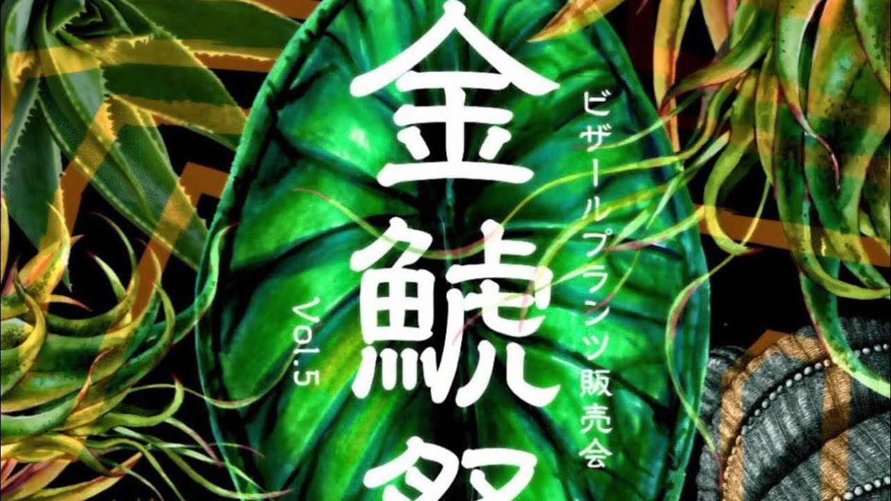 金鯱祭に友人と参加してみた。　#アガベ #イベント紹介 #購入品紹介 