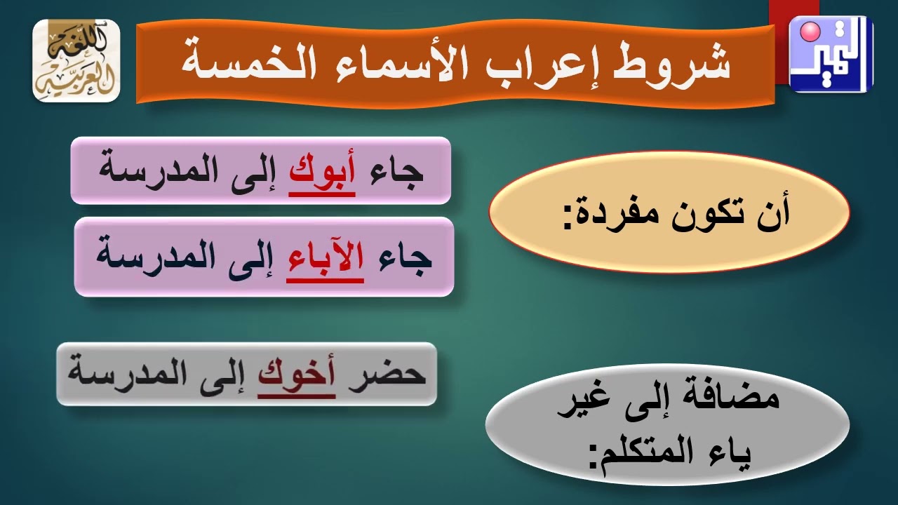 الصف الثامن - اللغة العربية  -  الأسماء الخمسة 11