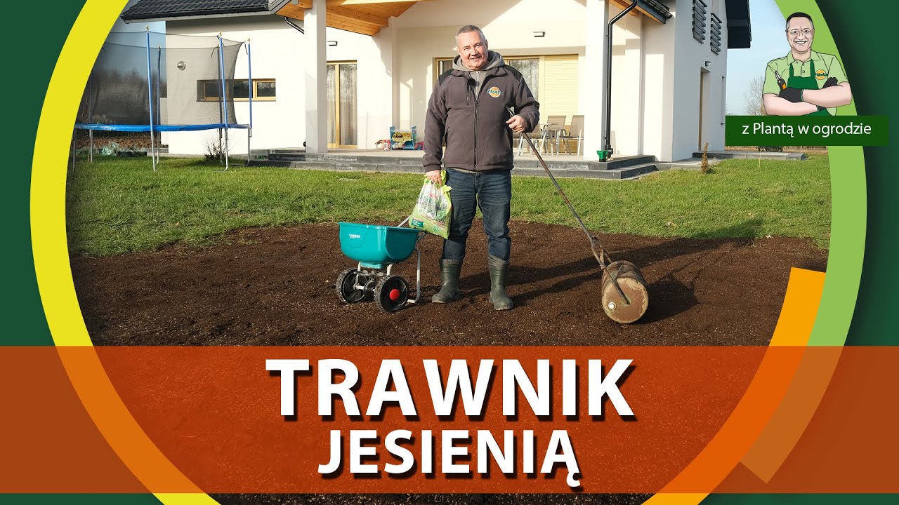 Zakładanie trawnika jesienią - Z PLANTĄ W OGRODZIE