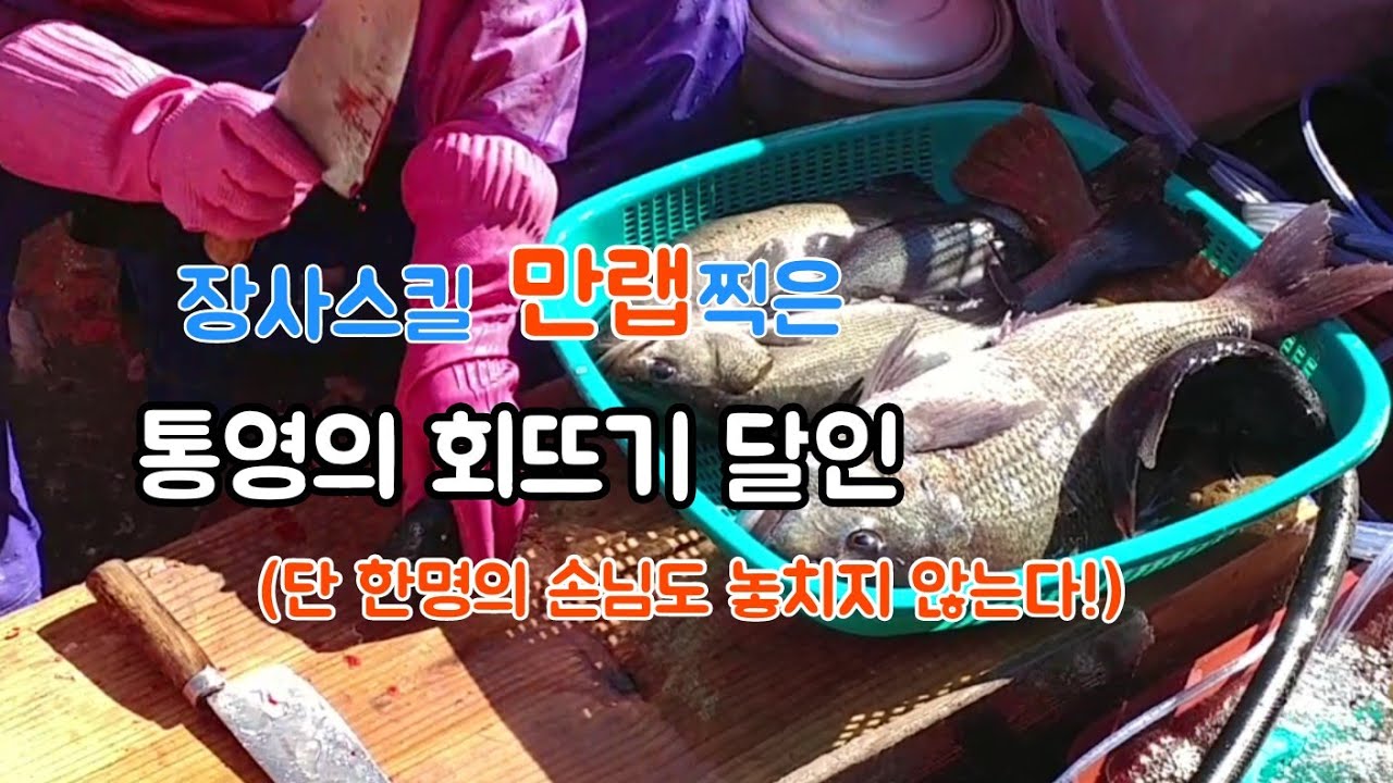 통영 회달인(장사의 달인)