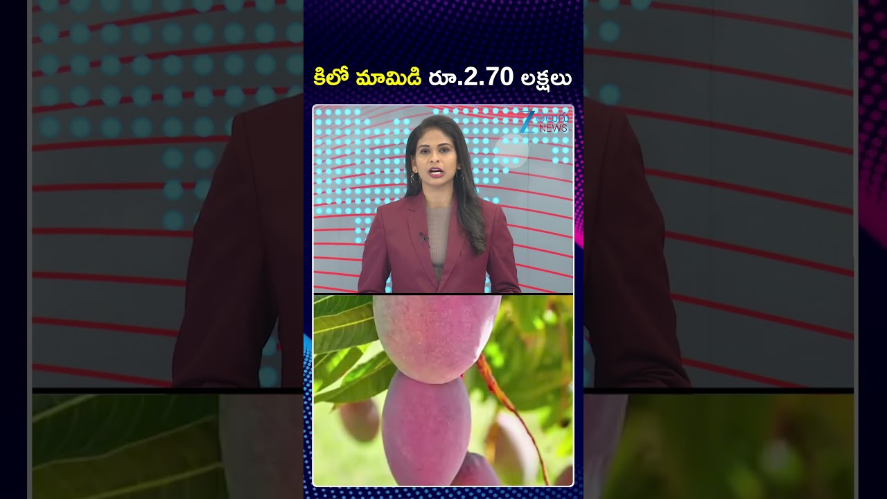 1Kg Mangos Price Rs. 2.70 Lakhs | Worlds Costliest Mango | Miyazaki Mango|కలో మామిడి రూ 2 70 లక్షలు