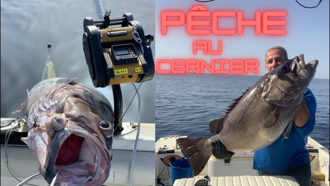 Pêche dans les fosses à la recherche du cernier et dorade rose, description matériel sous la vidéo.