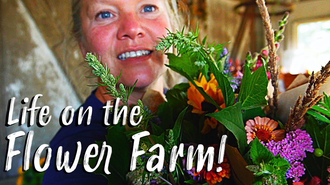 Life On The Flower Farm  | A Look Into what My Week Is Like | Garden & Home at Crowley House Farm.