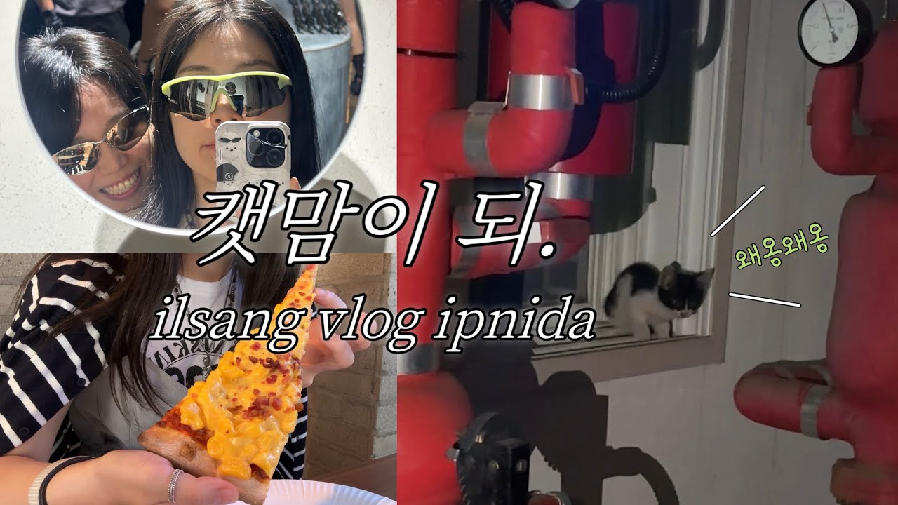 캣맘이 된 참쌀이 🐈🐈‍⬛ | 레즈커플 일상 브이로그