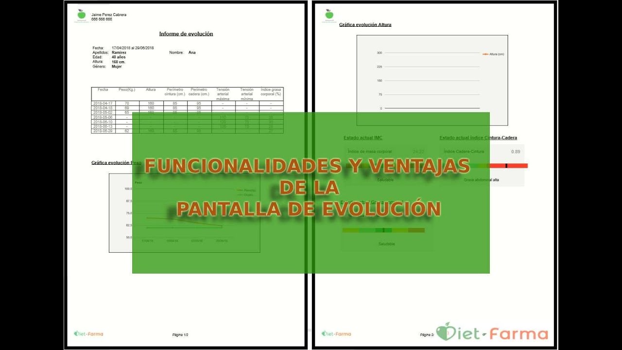 PANTALLA DE EVOLUCIÓN DEL SOFTWARE DE DIETFARMA