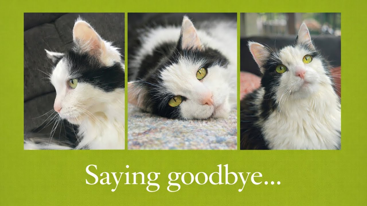 Saying goodbye is so hard