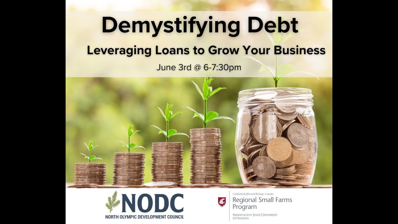 Demystifying Debt: Leveraging Debt to Grow Your Business