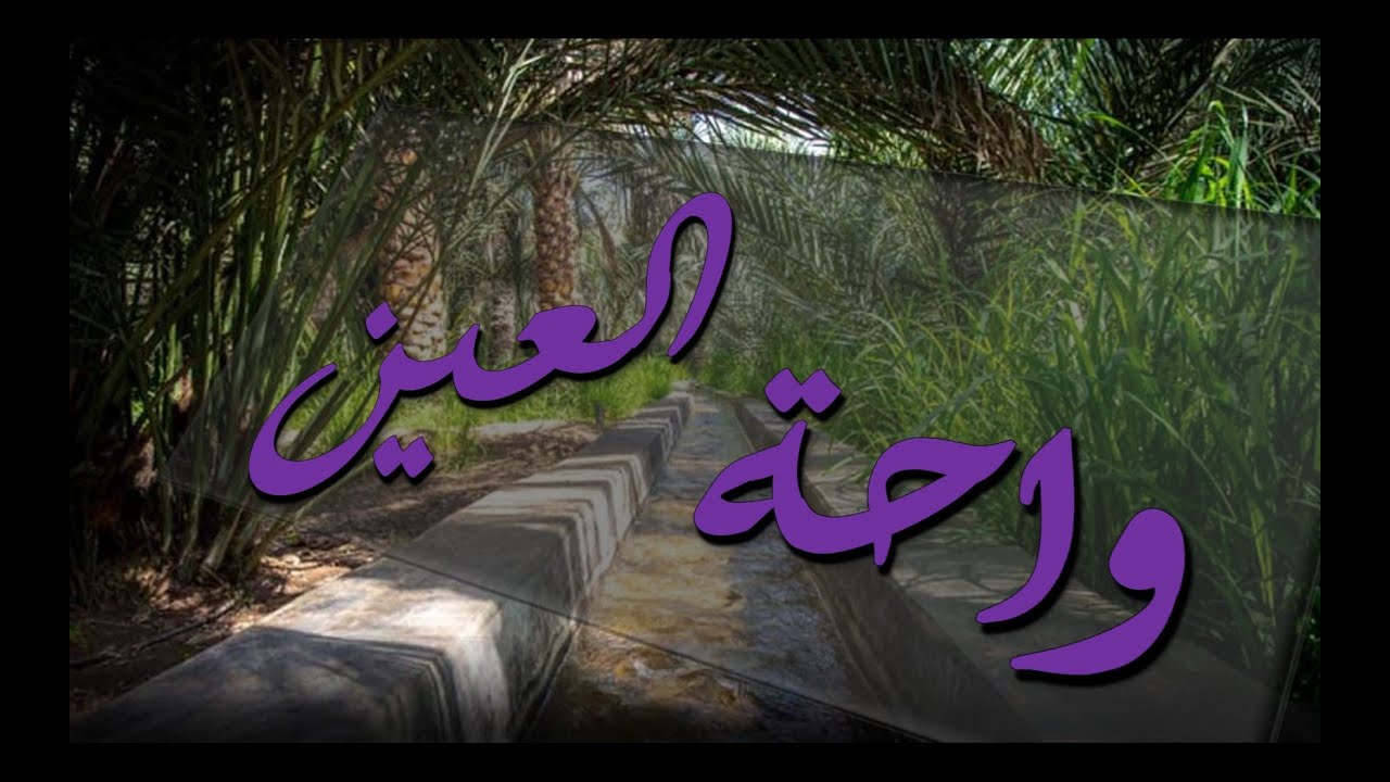 واحة العين .. وسط مدينة العين الاماراتيه .. من مواقع لائحة التراث العالمي لليونسكو