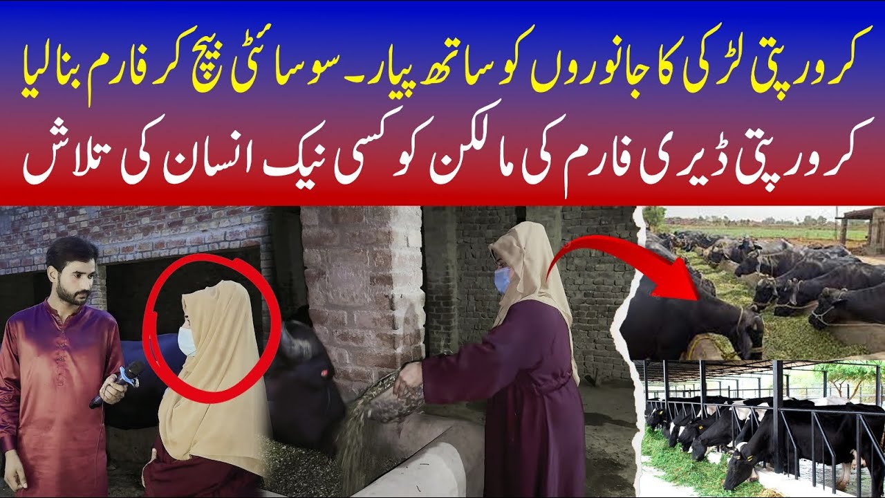 امیر لڑکی کسی غریب سے شادی کرنا چاہتی ہیں