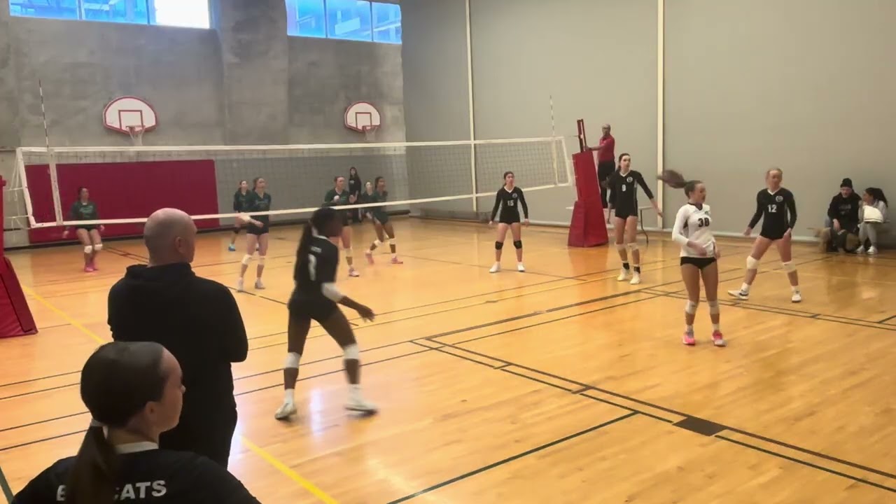 BSS v HC (set 2)