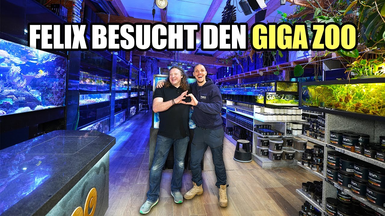 Hat Franz' GIGA-ZOO seinen Namen verdient? - Tunze