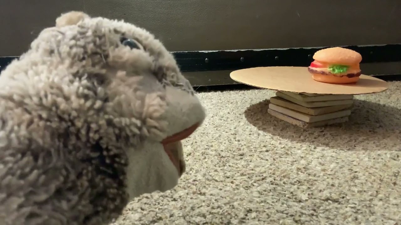 The slow-Mo guess game with Moobunny!