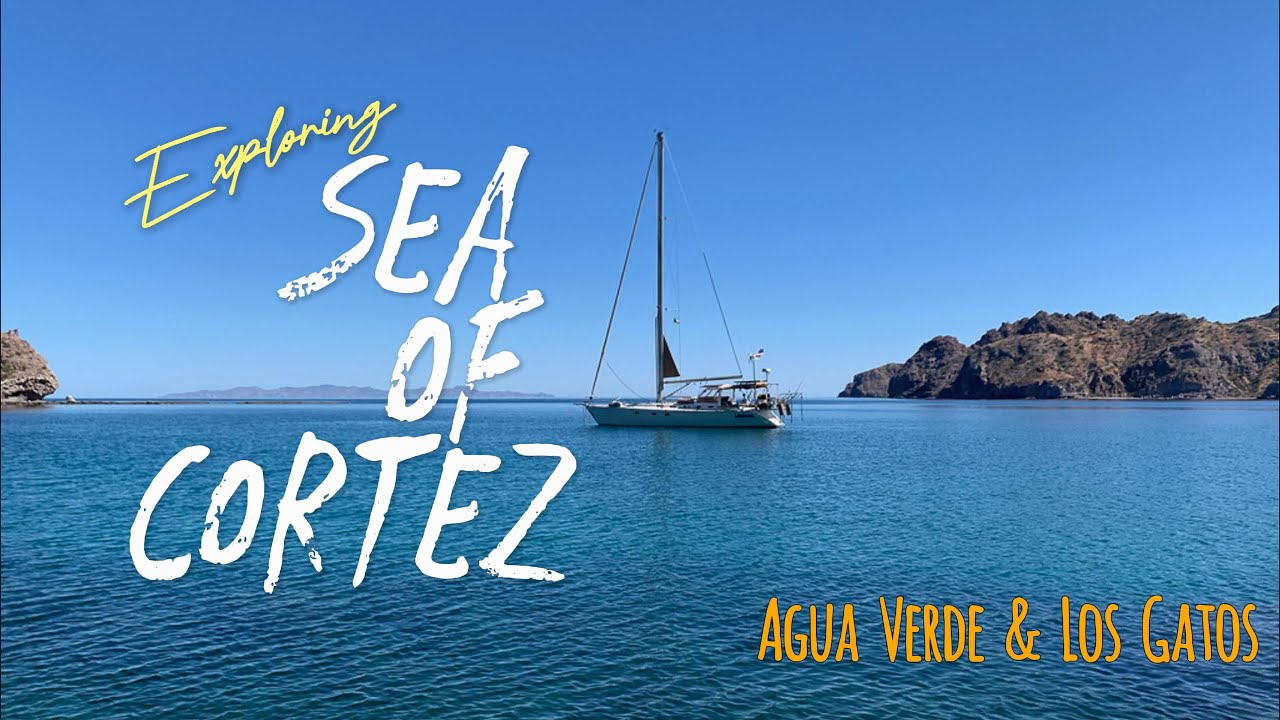 Exploring the Sea of Cortez: Agua Verde & Los Gatos
