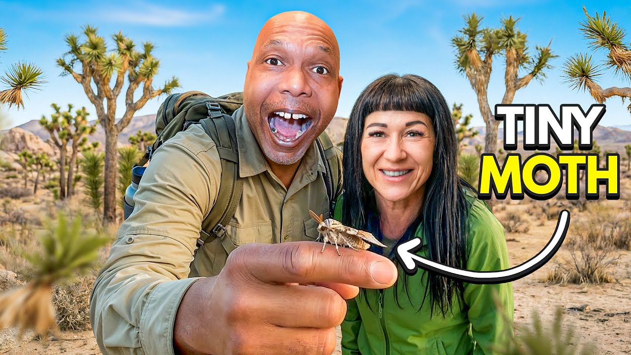 SILENT MYSTERY OF CALI'S HIGH DESERT