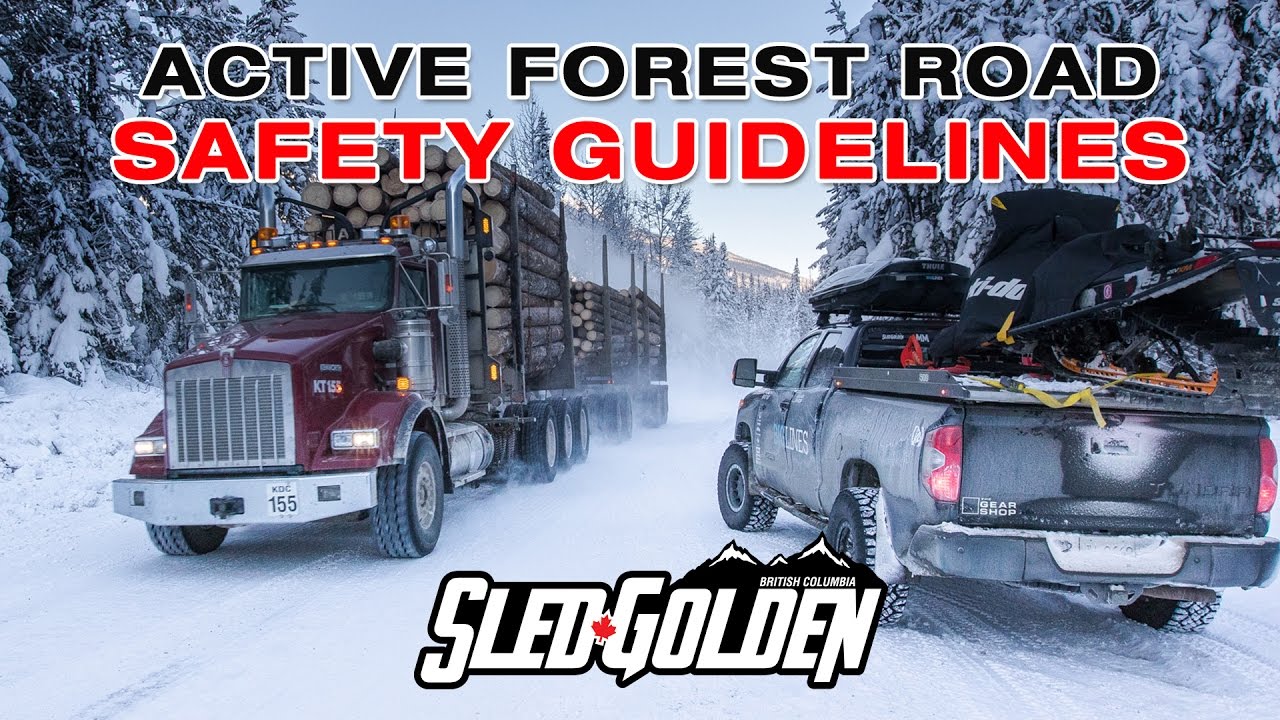 SledGolden Active Forest Road Safety Guidelines 2017