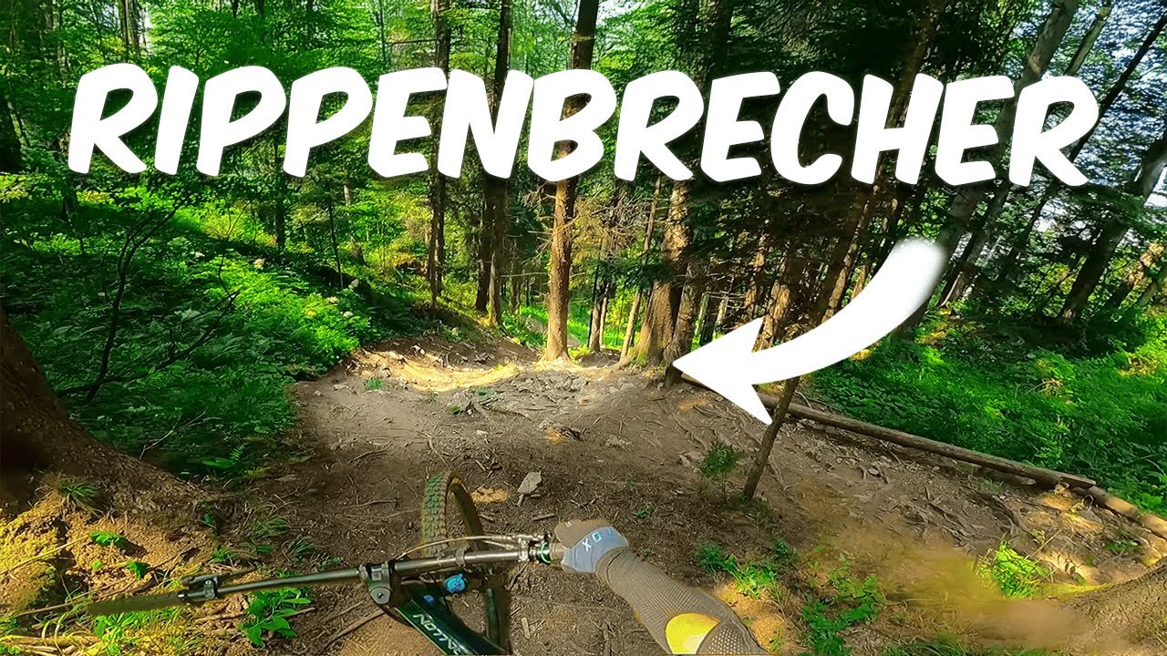 MTB Bikepark Paganella – unser Limit am Rippen(Brecher) Trail