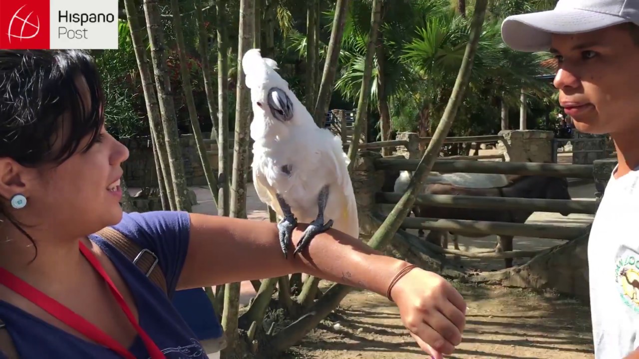 Zoológico de contacto en Caracas impulsa el amor entre humanos y animales exóticos