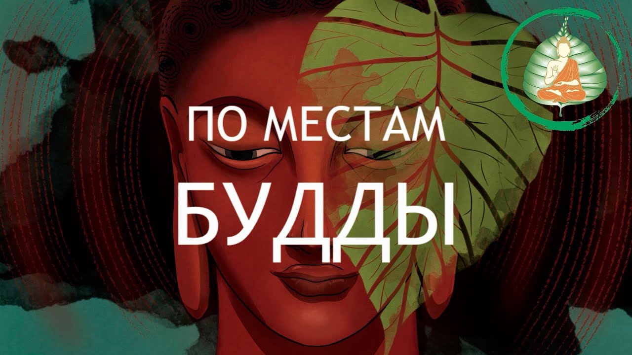 Документальный фильм 