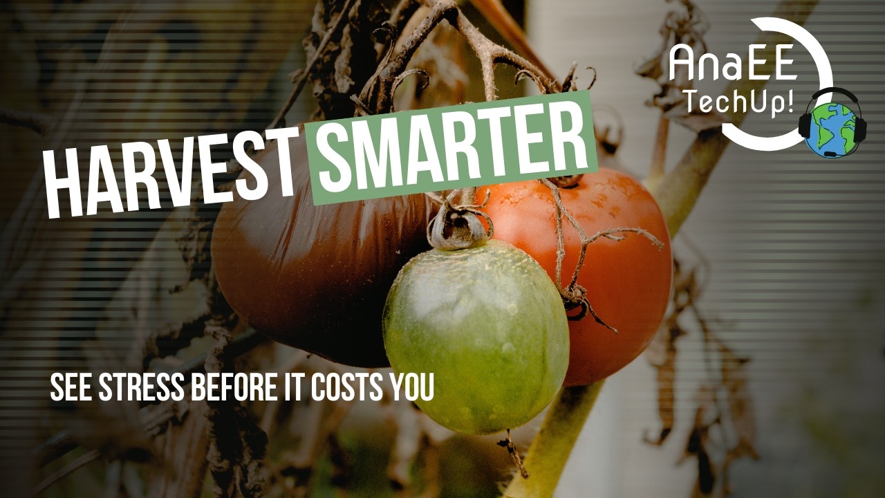 Stop Losing $250B in Crops: New Multispectral Camera Predicts Harvest Timing - AnaEE TechUp