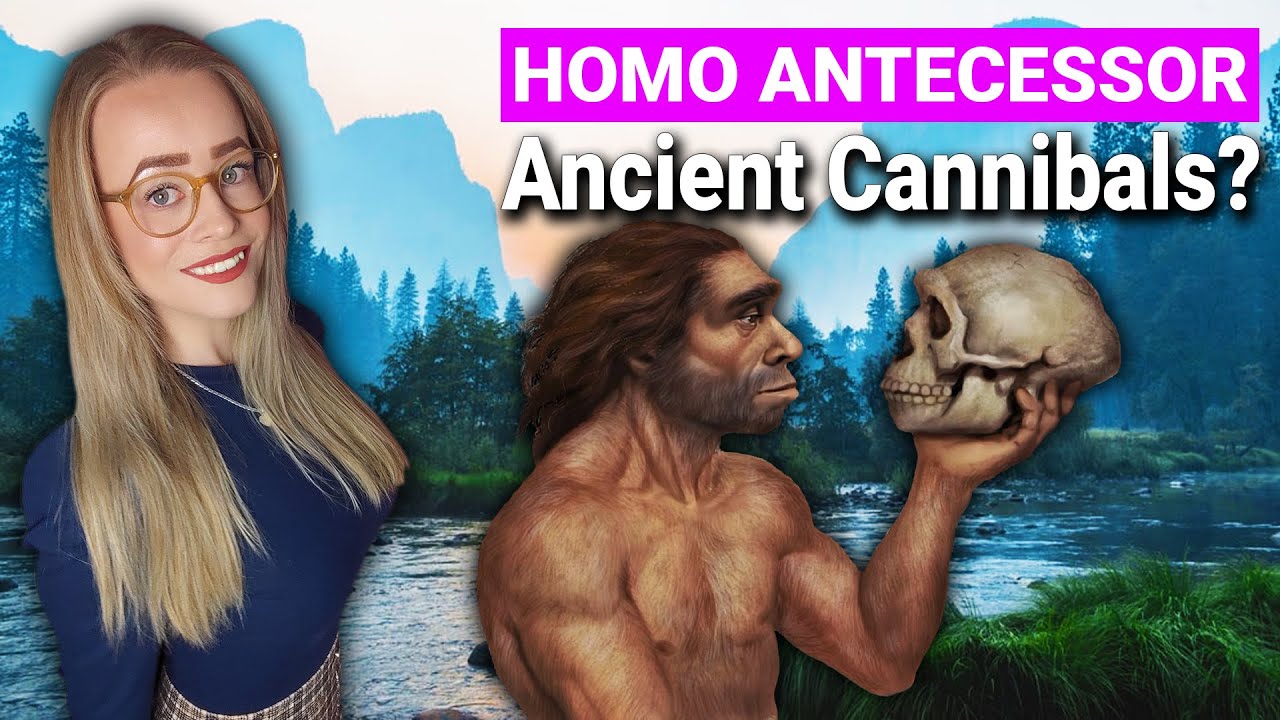 Homo Antecessor | First Europeans & Cannibals?!