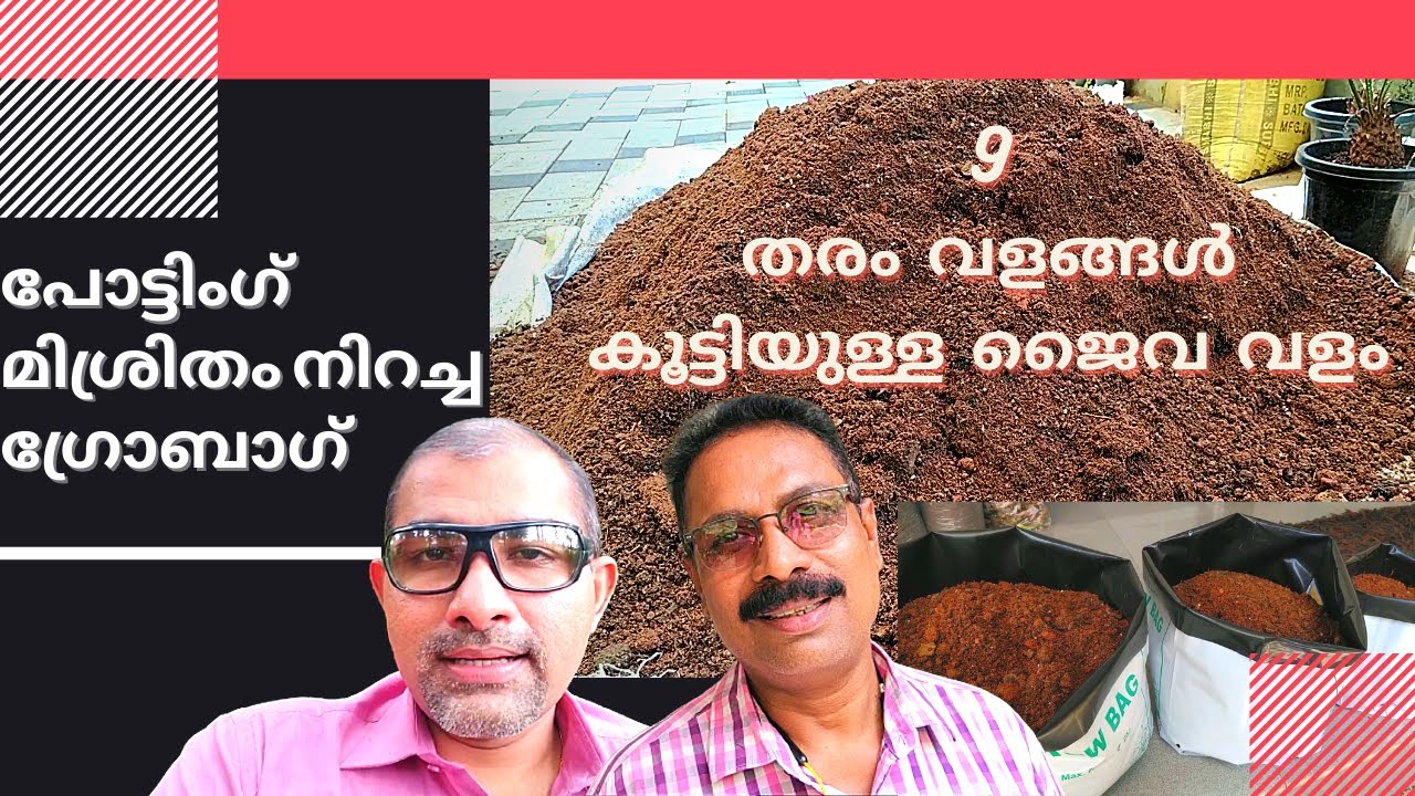 9 തരം വളങ്ങൾ കൂട്ടിയുള്ള ജൈവ വളവും പോട്ടിംഗ് മിശ്രിതം നിറച്ച ഗ്രോബാഗും Potting Mix Malayalam