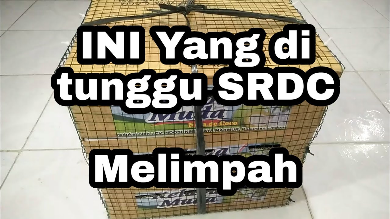 INI Yang di tunggu SRDC