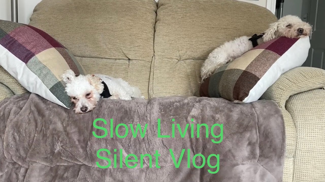 Slow living vlog | English countryside | Cream tea | Dog walk