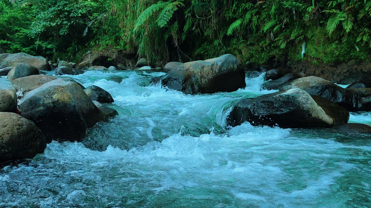 Classic River Sounds ASMR – Soothing Flowing Water for Inner Calm
