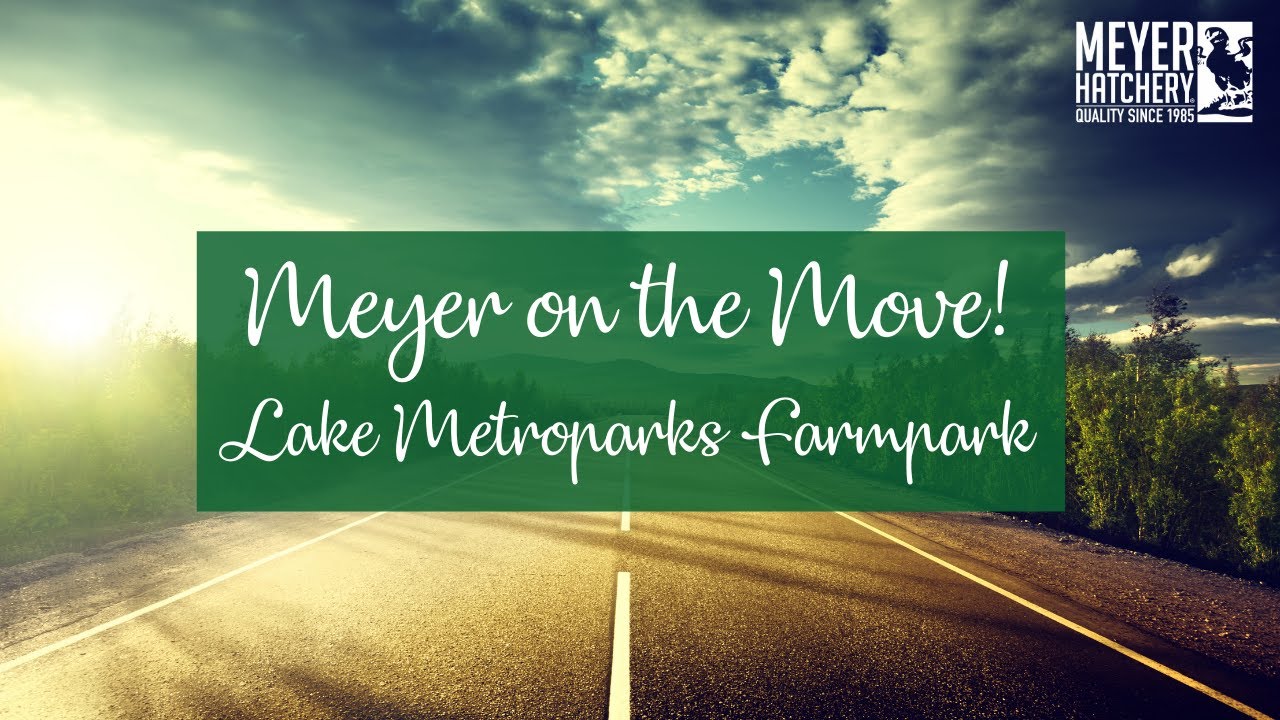 Meyer on the Move - Lake Metroparks Farmpark