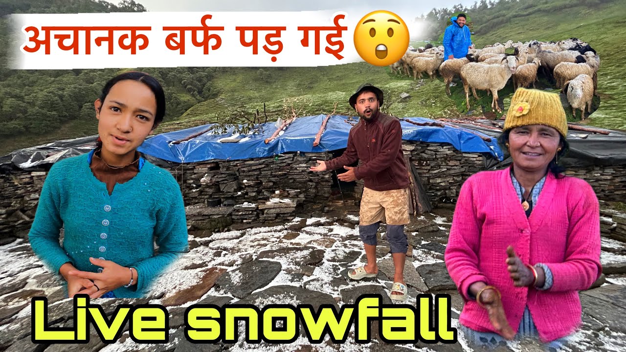 माँ बेटी कि इतनी कठिन दिनचर्या 😲 अकेले रहते इस बुग्याल में । Dangerous lifestyle | Arjun Khalptia