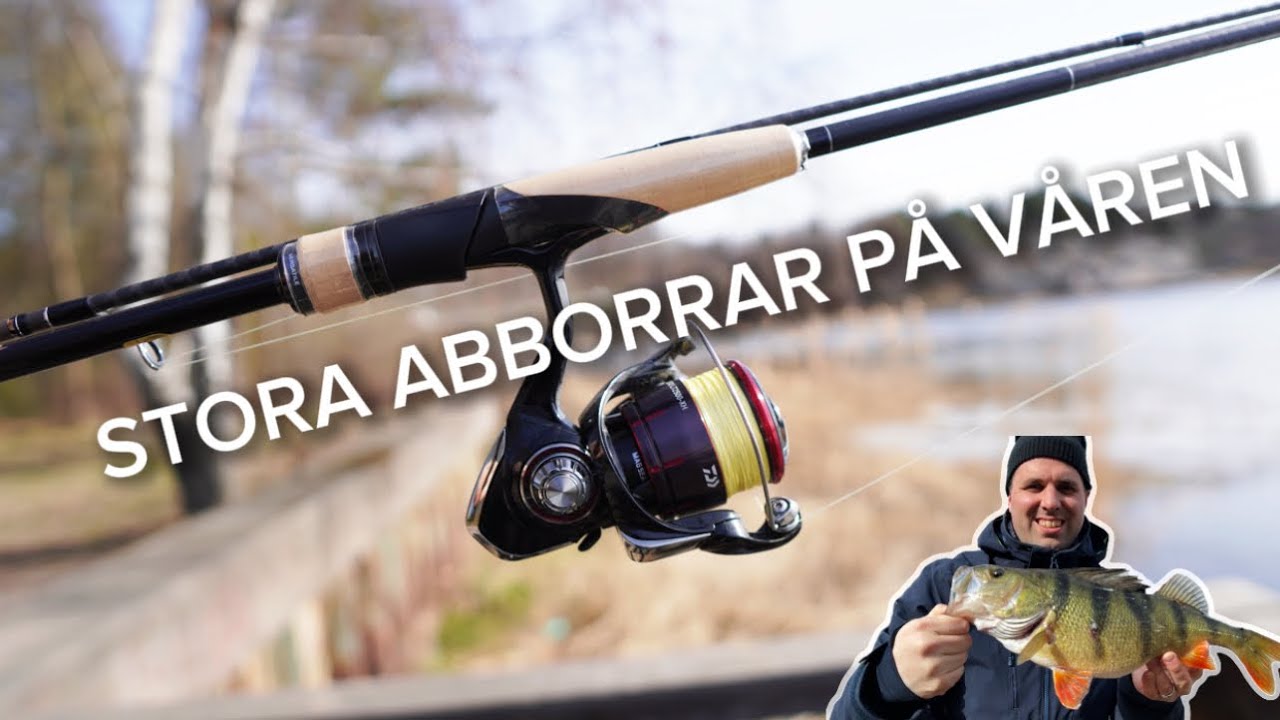 FAVORIT HASPELKOMBO VÅREN 2025 - DAIWA FUEGO & SHIMANO EXPRIDE